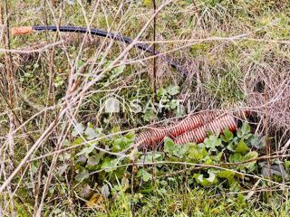  Terrain � vendre 2499 m�