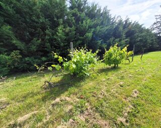  Terrain à vendre 1259 m²