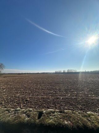  Terrain  vendre 505 m