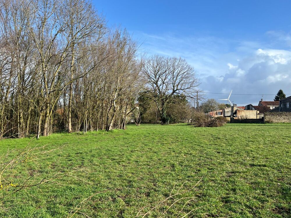 Vente Terrain Terrain constructible de 3741 m2 Nachamps