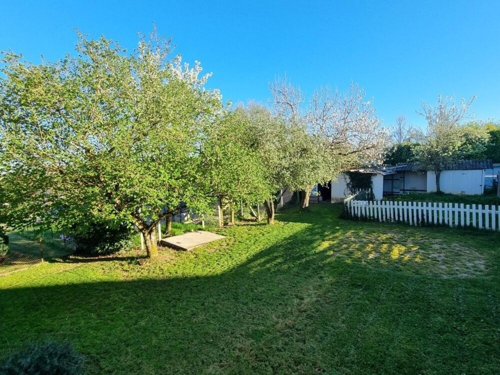 Maison individuelle avec terrain