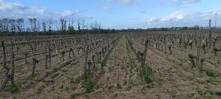  Terrain à vendre 65000 m²