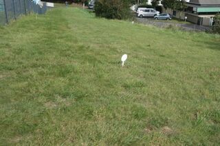  Terrain  vendre 3000 m