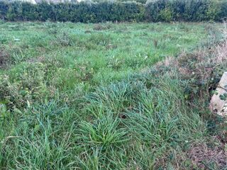  Terrain � vendre 717 m�