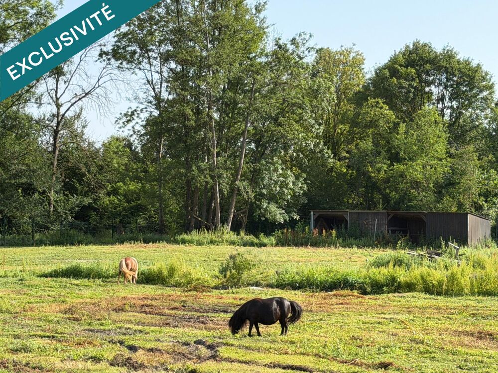 Propriété rare sur 9500 m² - 10 mn de La Ferté sous Jouarre.