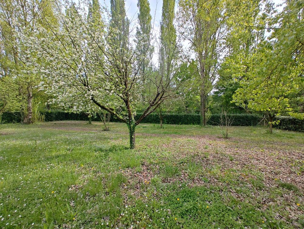 Vente Terrain Terrain à batir de 1656m2 dont 560m2 constructible L' isle-d'abeau