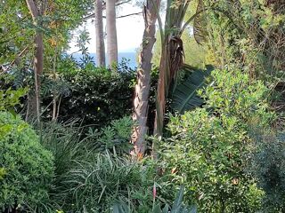  Appartement � vendre 4 pi�ces 105 m�