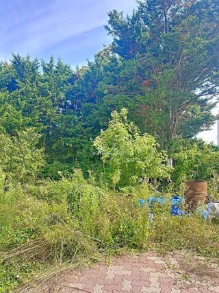  Maison � vendre 3 pi�ces 65 m�