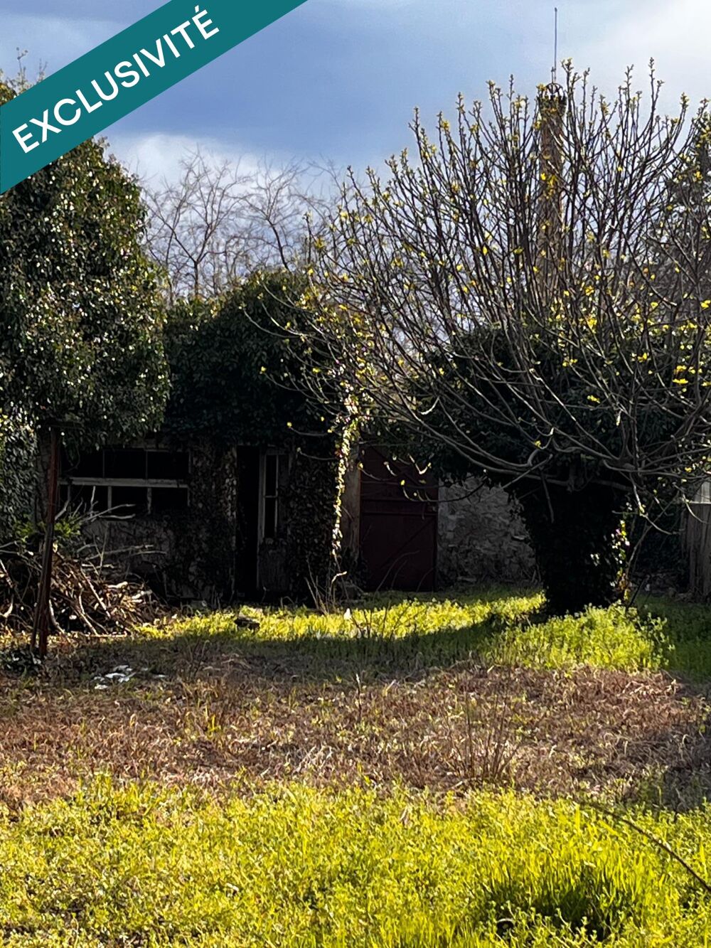 Vente Terrain Terrain centre ville constructible Vidauban