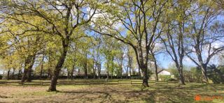  Terrain � vendre 6000 m� Meschers-sur-gironde