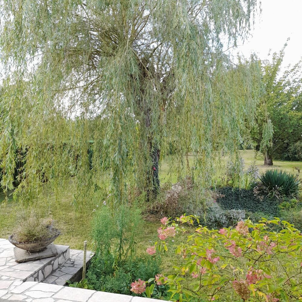 Vente Maison Matériaux de belle qualité / quartier très calme Bruyeres-et-montberault