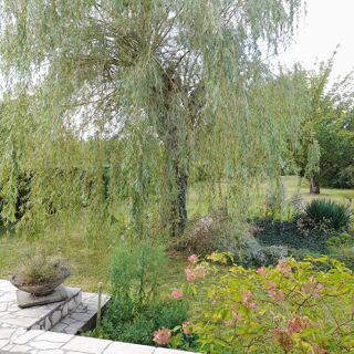  Maison à vendre 6 pièces 145 m²