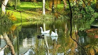  Propriété/château à vendre 15 + pièces 500 m²