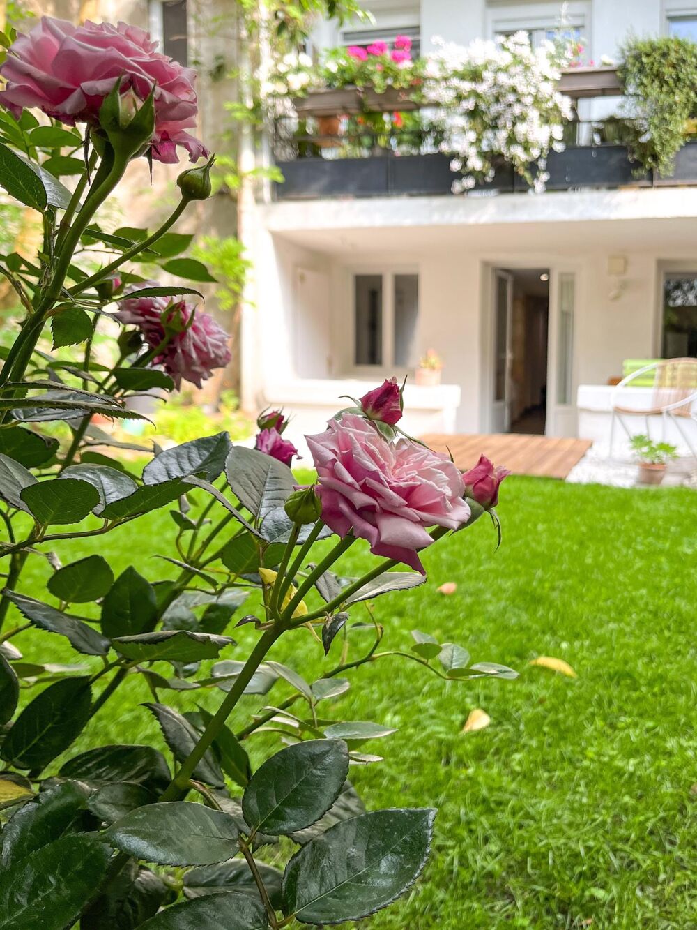 Vente Appartement Bordeaux (Nansouty) - T3 avec jardin Bordeaux