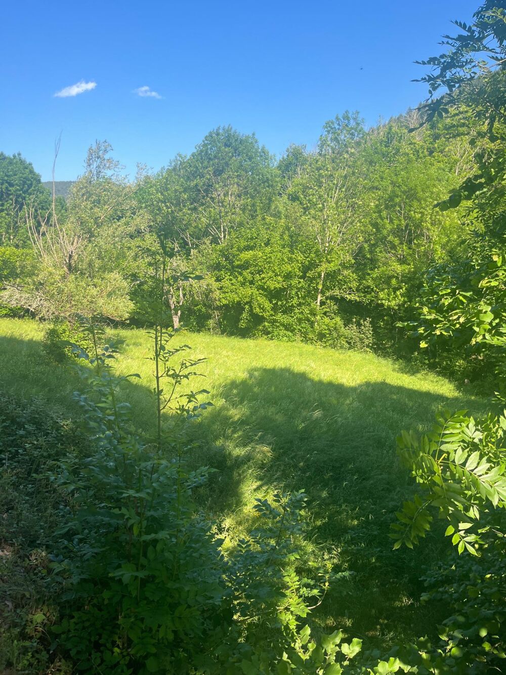 Vente Terrain Terrain constructible vallée borgne Saumane