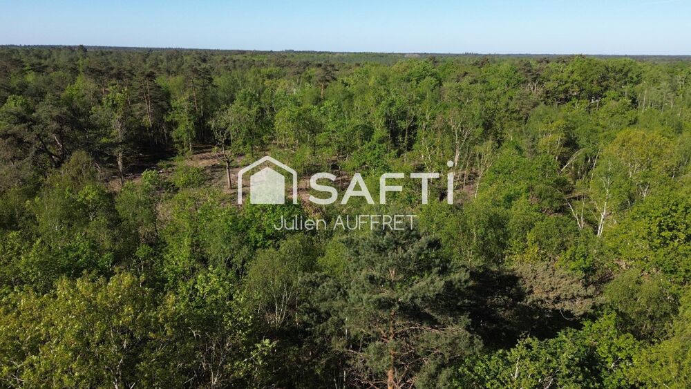 Très belle propriété avec hangar sur 2 hectares