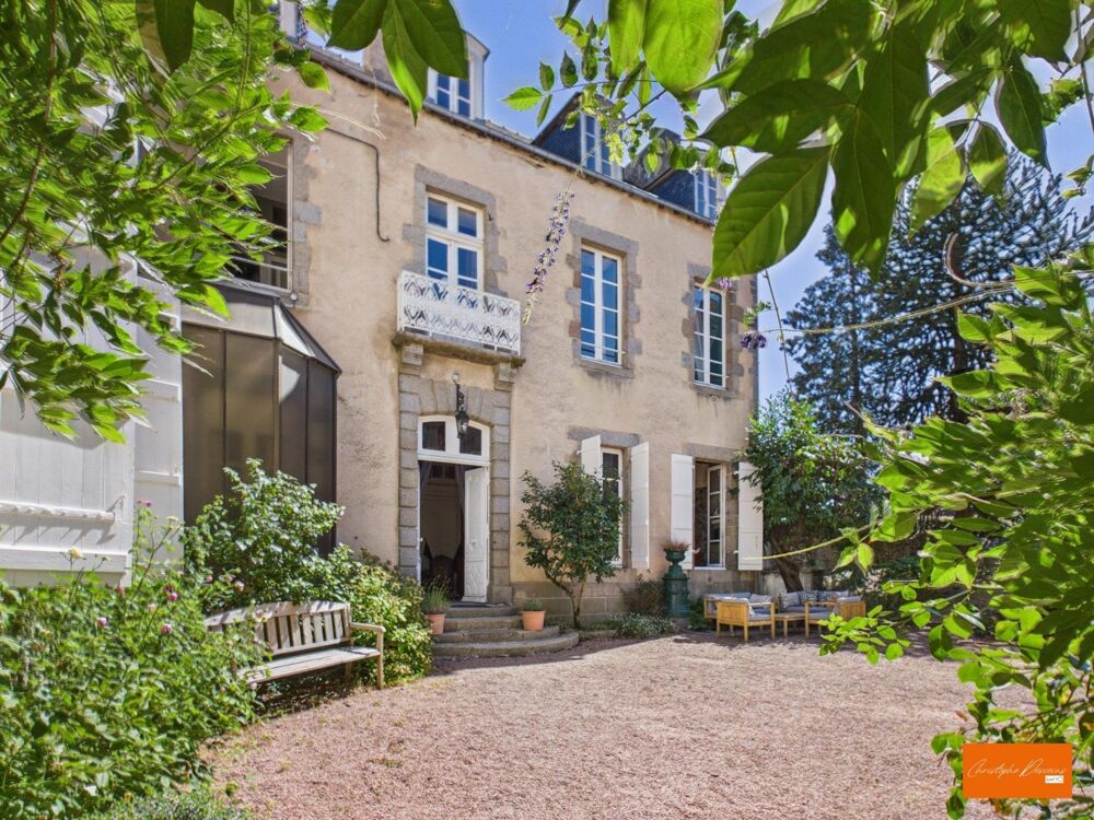 Vente Immeuble Magnifique demeure de prestige avec jardin a Mayenne Mayenne