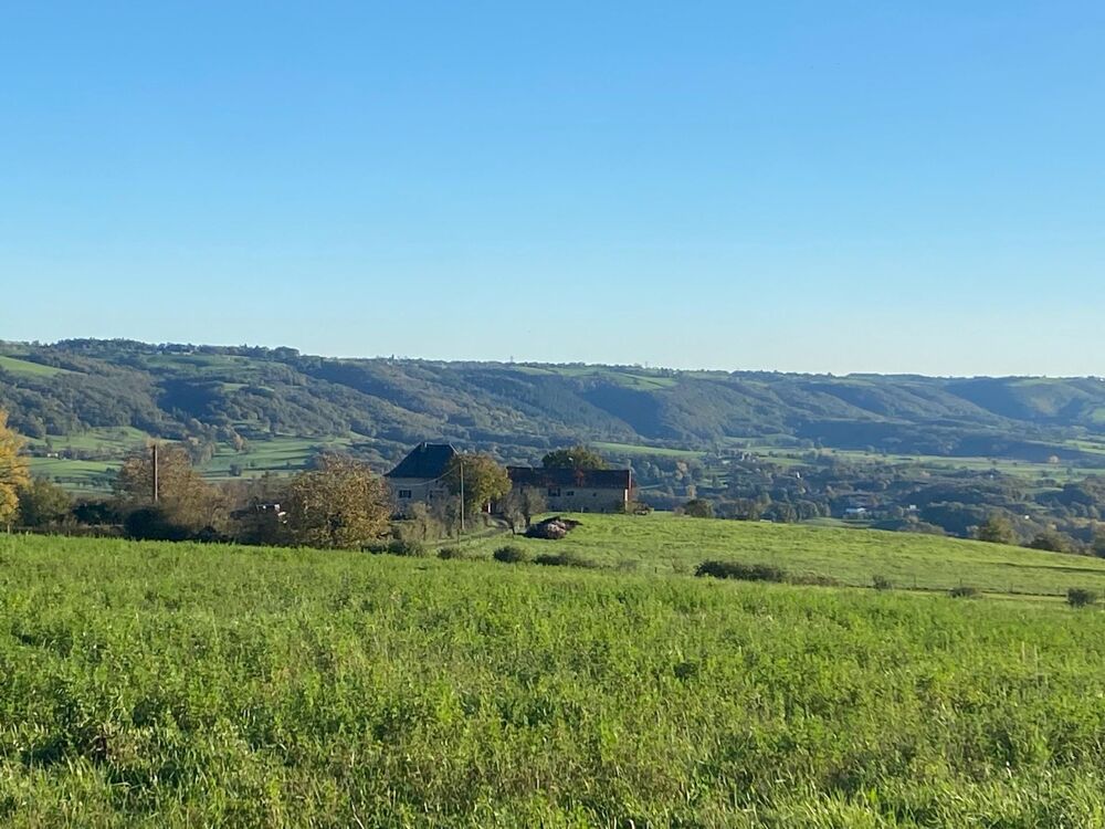 Maison, grange, dépendances, grand terrain.