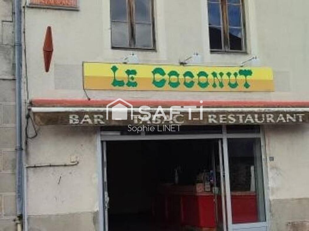 Vente Immeuble Immeuble 252m2+ Dépendances Saint-sornin-leulac