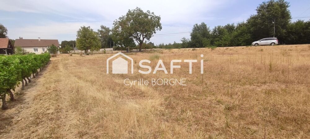 Vente Terrain Terrain à batir avec vue sur les vignes ! Coteaux-sur-loire