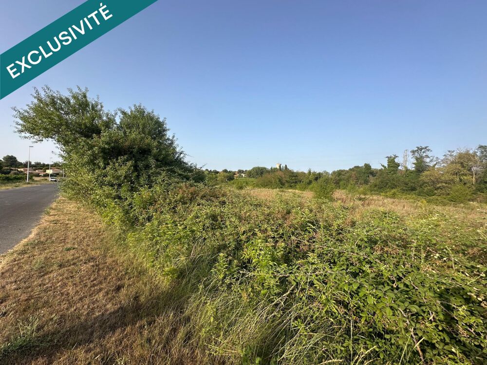 Vente Terrain Terrain agricole de plus de 9 200 m² avec forage – Pézenas Pezenas