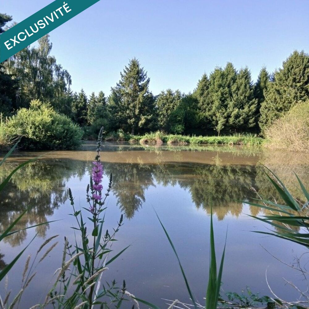 Vente Terrain Pour se ressourcer au coeur de la nature... Etouvelles