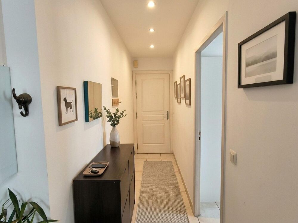 Vente Maison Maison familiale 3 chambres Ambares-et-lagrave