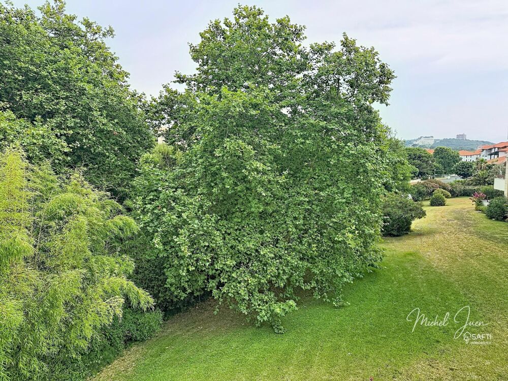 BIARRITZ  QUARTIER DE LA MILADY  GRANDE TERRASSE AU CALME