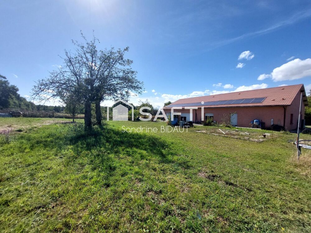 Villa 6 chambres - Secteur Saint Trivier
