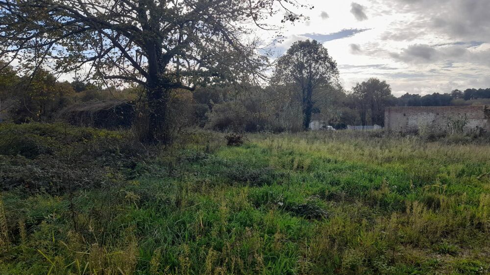 Vente Maison belle bâtisse charentaise à rénové entièrement  sur un terrain de 1760 m2 environ 400 m2 de bâtisse Cercoux
