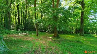  Terrain à vendre 2941 m²