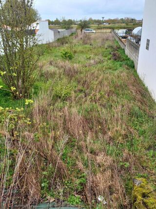  Terrain � vendre 1011 m�