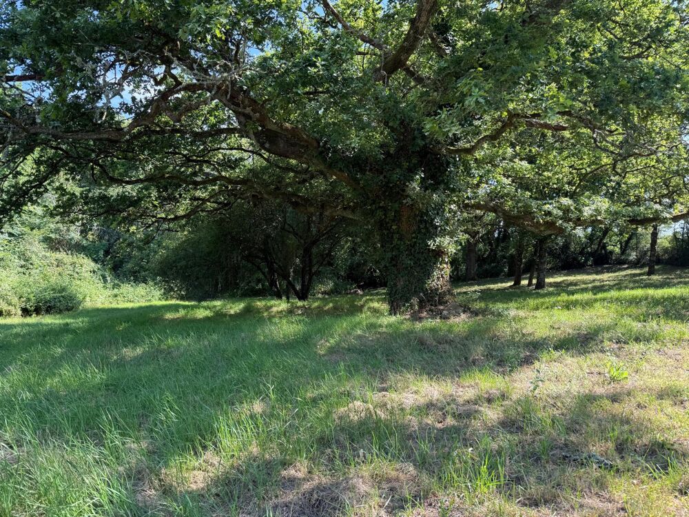 à vendre  Propriété/château Monnières (44690)
