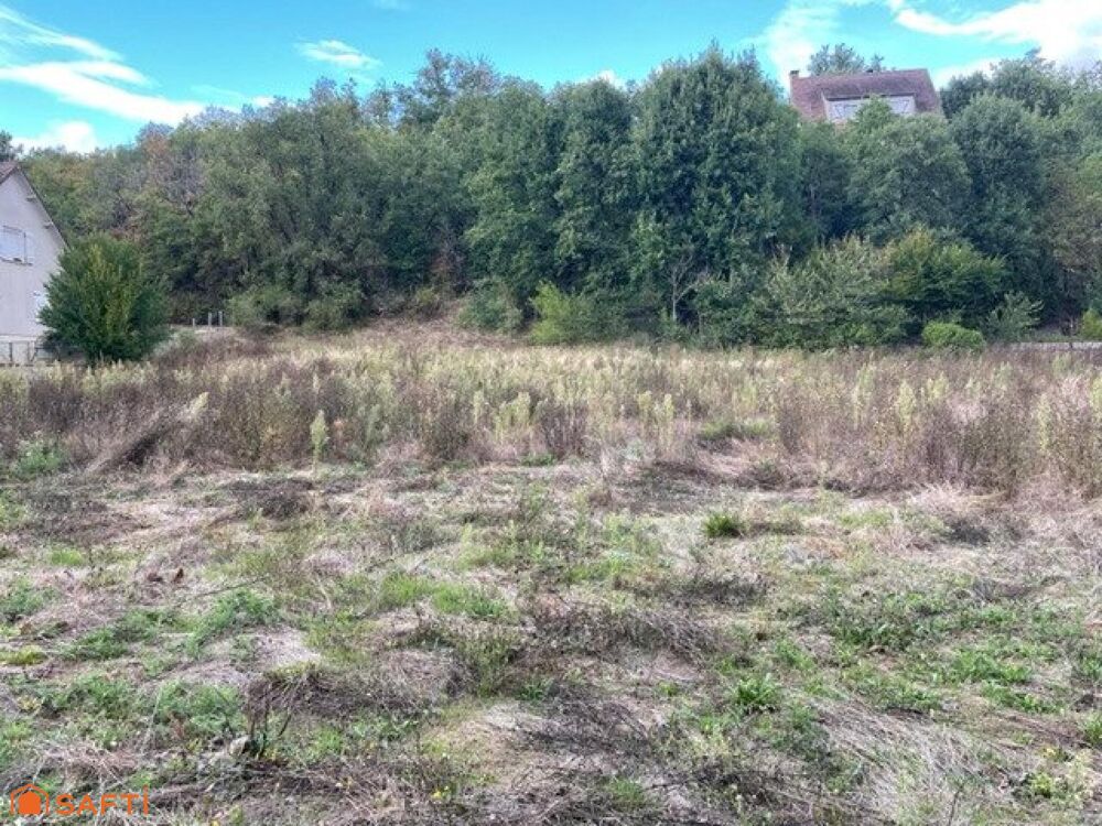 Vente Terrain Terrain constructible borné 545 M2 - façade 12.35 ml - profondeur 41.54 ml Prunay-sur-essonne