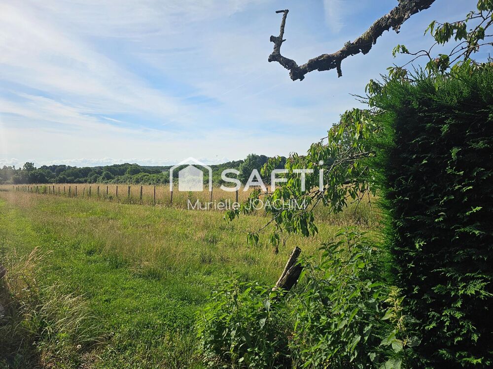 Vente Maison GRANDE MAISON A FORT POTENTIEL L' abergement-sainte-colombe