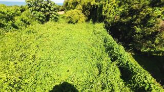  Terrain  vendre 970 m