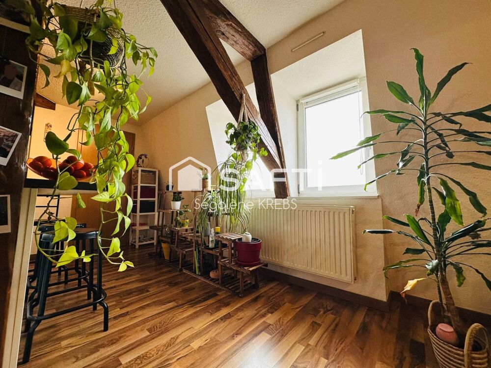 Vente Appartement Coup de cœur, superbe duplex 4 pièces à HILSENHEIM Hilsenheim