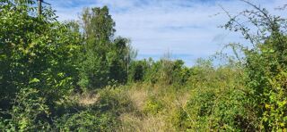  Terrain � vendre 772 m�