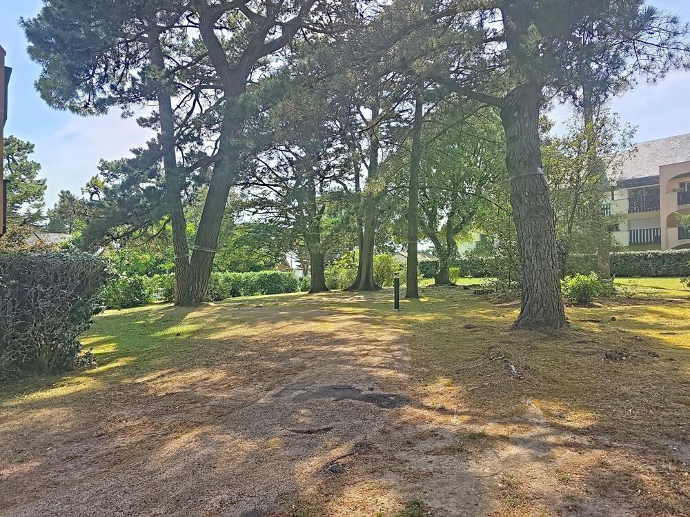 Beau studio lumineux avec plage et commerces à pied dans parc avec piscine