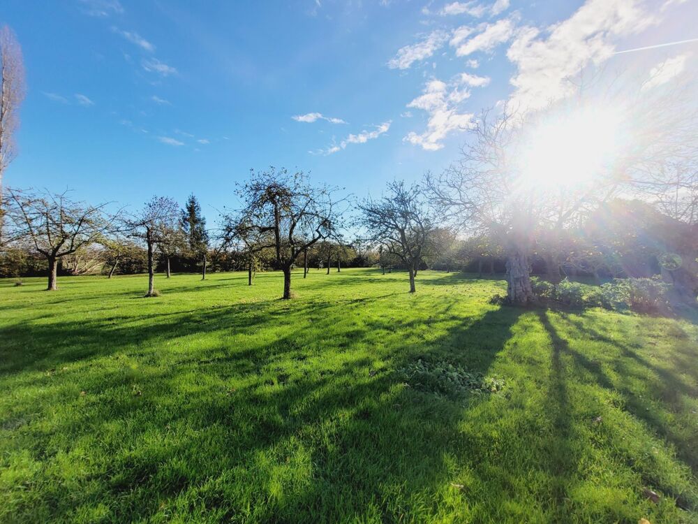 Vente Maison Corps de ferme 5 pièce - 5200 m2 de terrain dont 3400 m2 constructibles Varaville