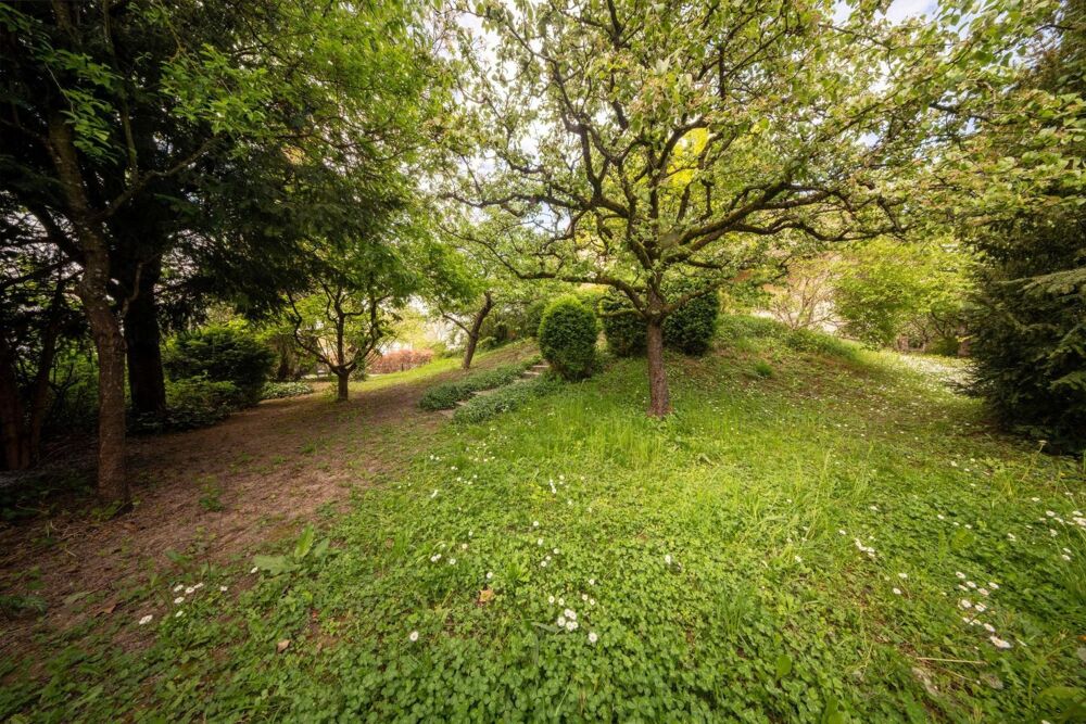 à vendre  Maison Village-Neuf (68128)