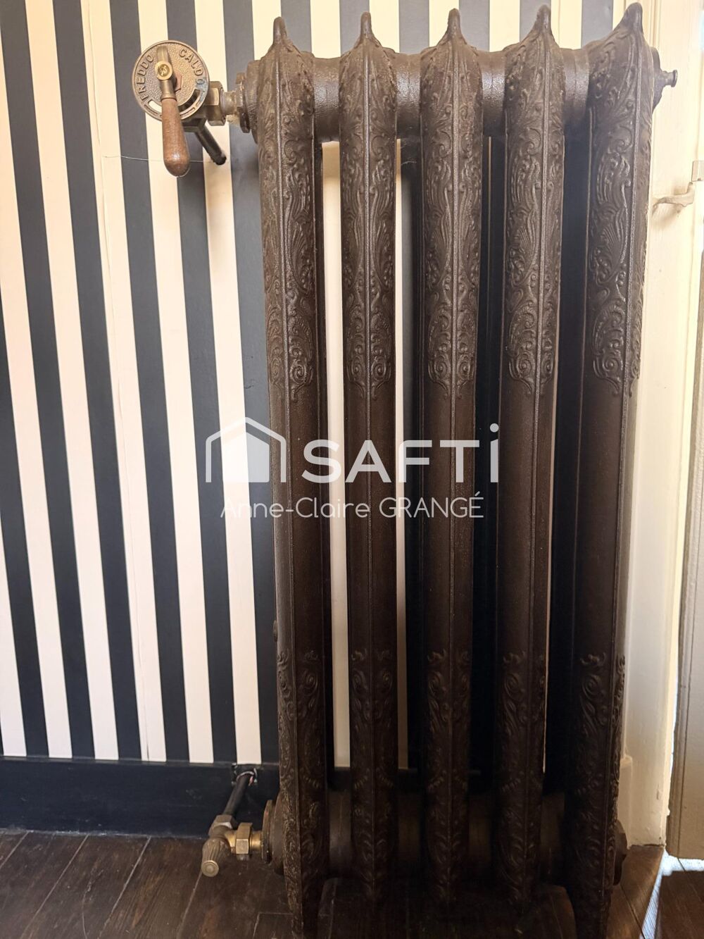 � vendre  Propri�t�/ch�teau Coulans-sur-G�e (72550)