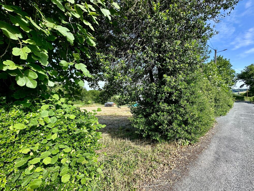 Vente Terrain Terrain constructible au coeur du village Montredon-labessonnie