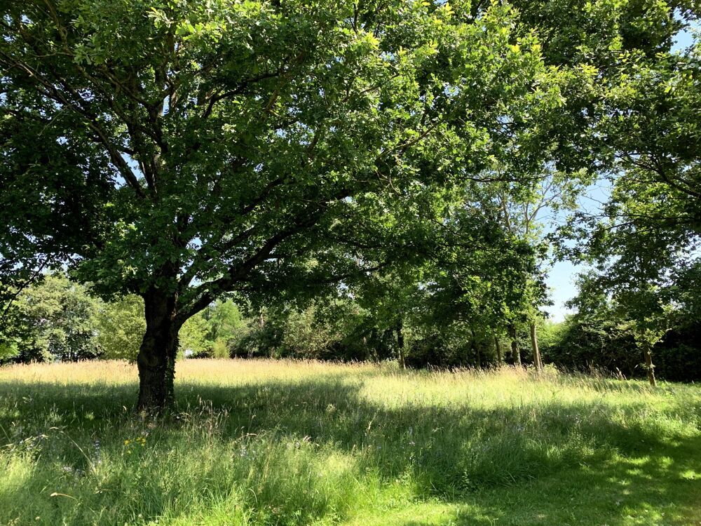Vente Maison Magnifique ensemble Bressan situé dans un écrin de verdure Saint-germain-du-bois