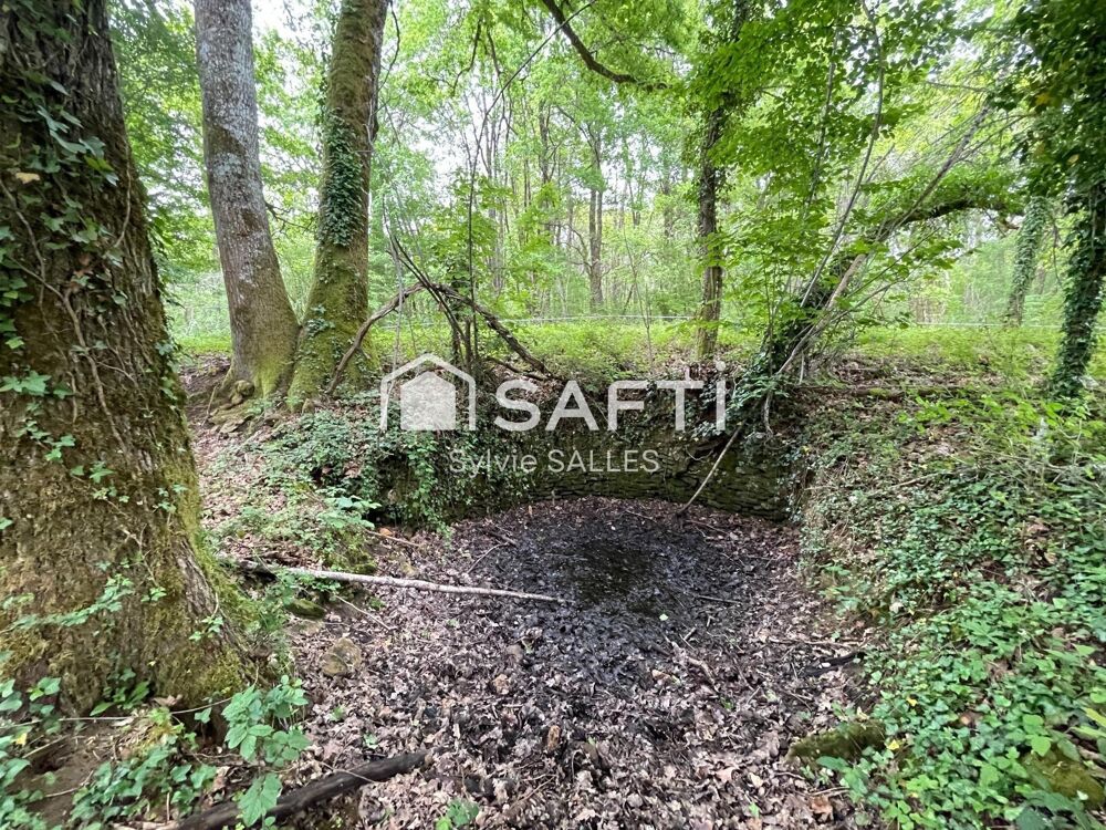 Vente Terrain Terrain non constructible avec mare et chênes Loubejac