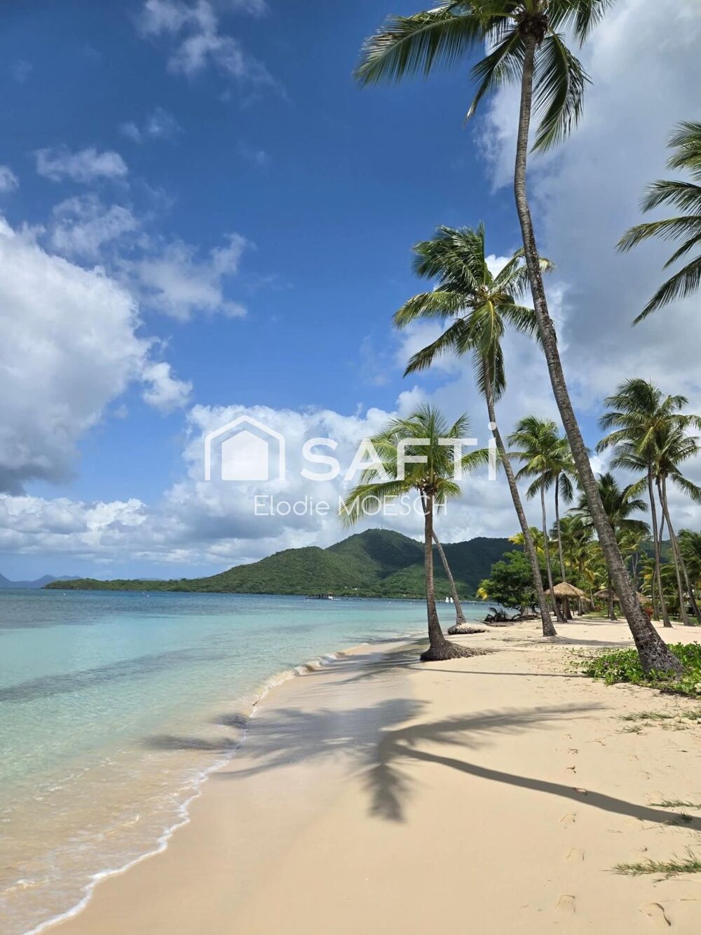 Vente Appartement Studio avec piscine à 5 minutes à pieds d'une des plus belle plage de l'ile ! Sainte-anne