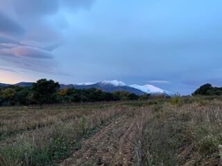  Terrain à vendre 79000 m²