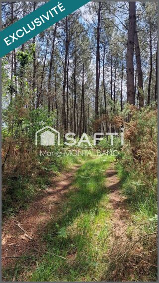  Terrain  vendre 28539 m