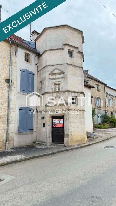   SUPERBE MAISON DE MAITRE AVEC JARDIN Maison - 9 pièce(s) - 273 m²