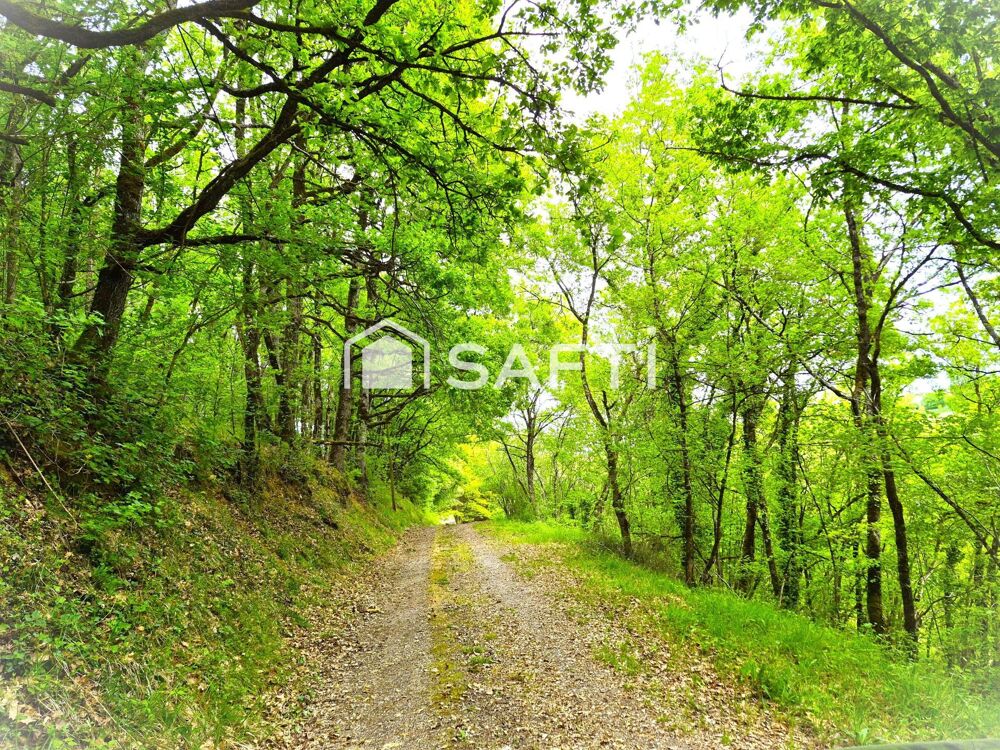HABITER AU MILIEU FORET : Eau - Elec - Fibre - 3ch
